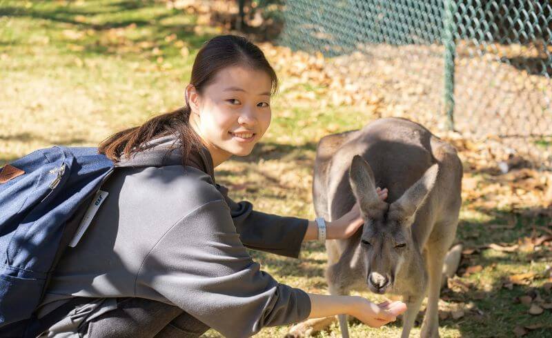 Lexis Wildlife Conservation 野生動物保育青少年遊學團