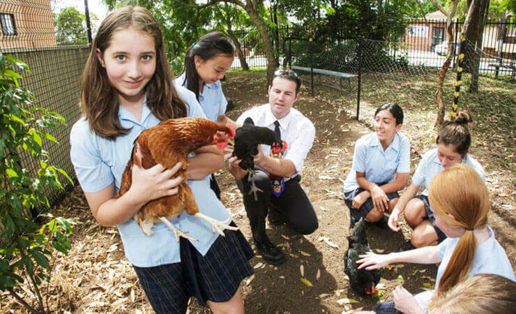 Georges River College Penshurst Girls Campus